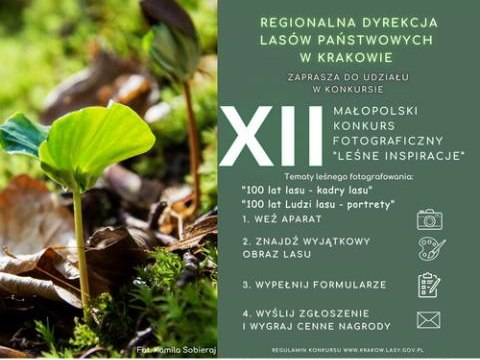 Małopolski Konkurs Fotograficzny pt. „Leśne Inspiracje”