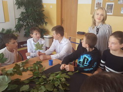 Dzień Drzewa - wizyta pracownika Nadleśnictwa