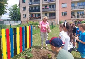 Edukacyjny projekt