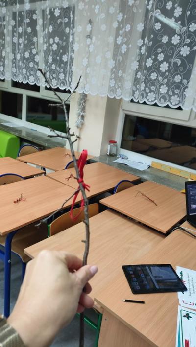 2025-12-08 16.30.43.jpg