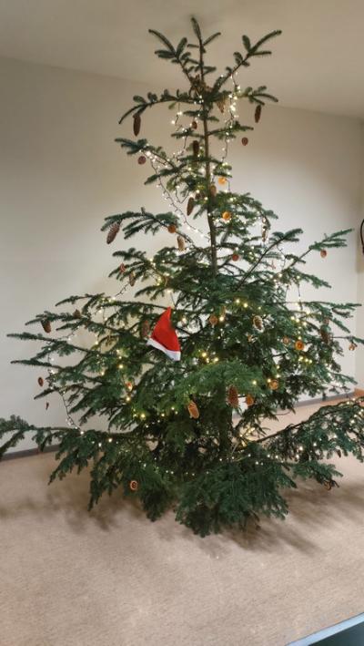 2025-12-08 16.36.18.jpg