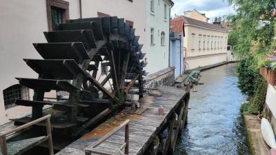 2026-06-15 16.14.55.jpg